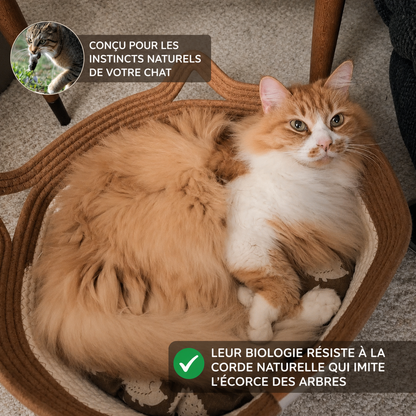 Panier Sérénité | Découvrez le premier espace naturel pour chats d'intérieur, conçu sur la base de recherches scientifiques