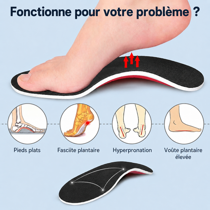 FlexiVoûte - Marchez sans douleur, du matin au soir