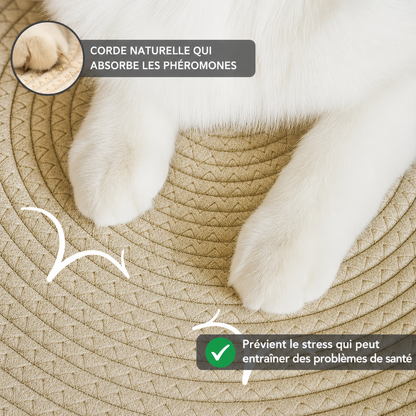 Panier Sérénité | Découvrez le premier espace naturel pour chats d'intérieur, conçu sur la base de recherches scientifiques