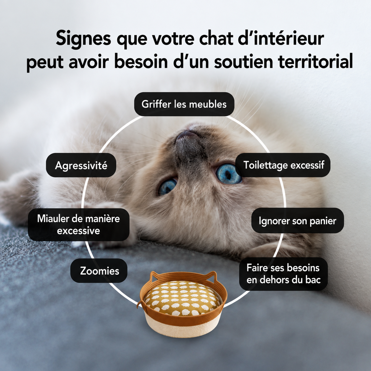 Panier Sérénité | Découvrez le premier espace naturel pour chats d'intérieur, conçu sur la base de recherches scientifiques